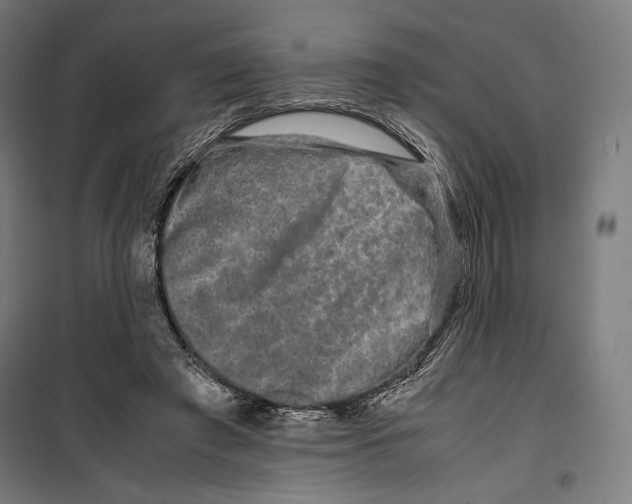 X0000099490401200806121357