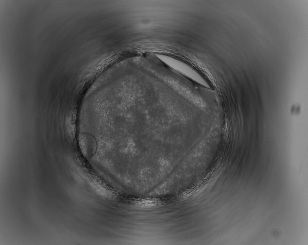 X0000099490402200806121357