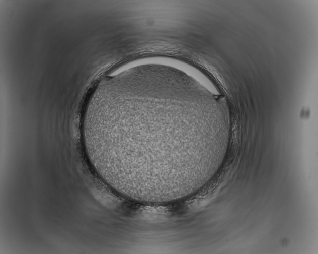 X0000099490403200806121357