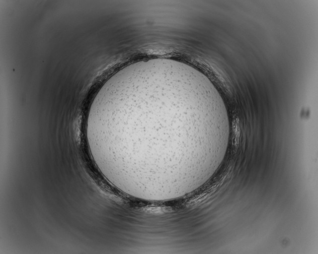 X0000099490404200806121357