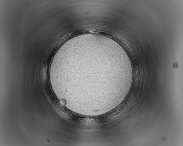 X0000099490406200806121357