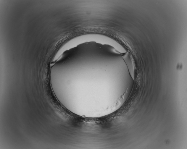 X0000099490407200806121357