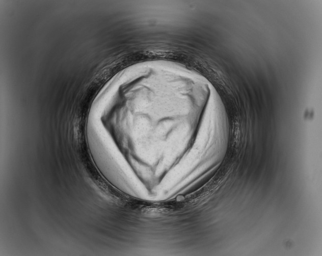 X0000099490408200806121357