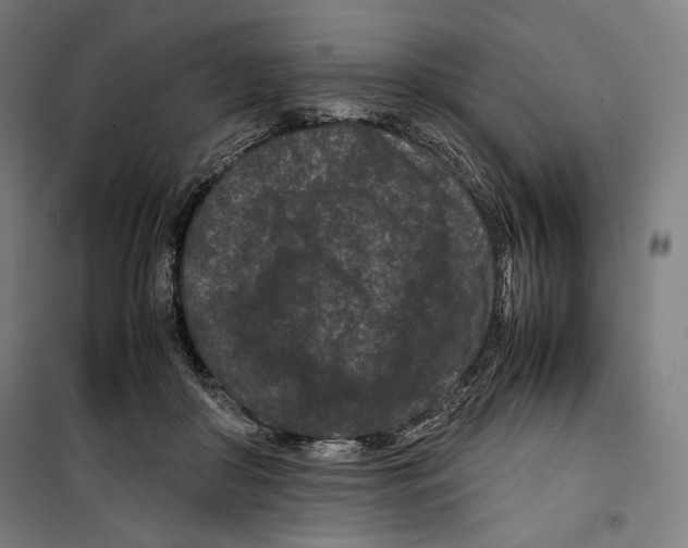 X0000099490410200806121357