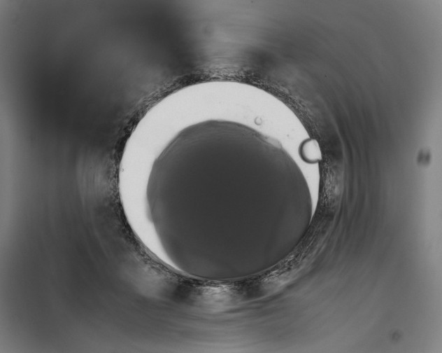 X0000099490411200806121357