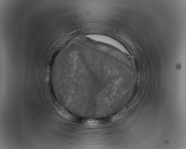 X0000099490413200806121356