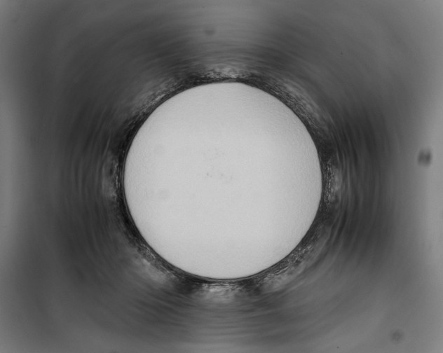 X0000099490414200806121356