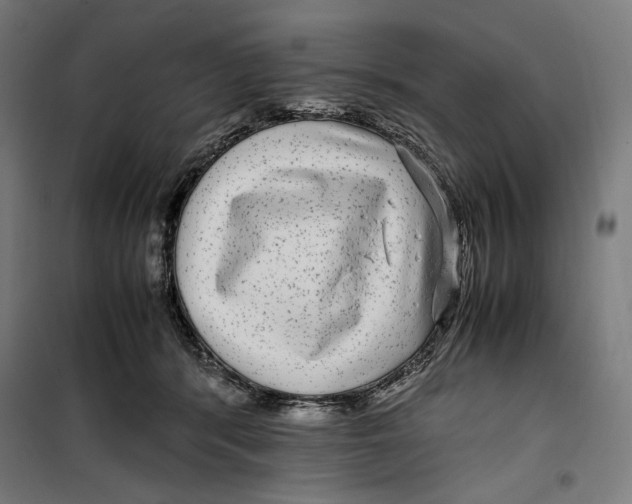 X0000099490416200806121356