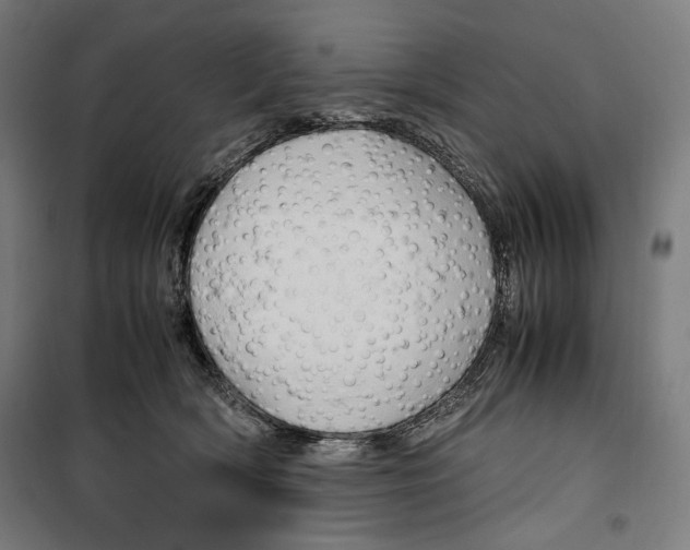 X0000099490418200806121356