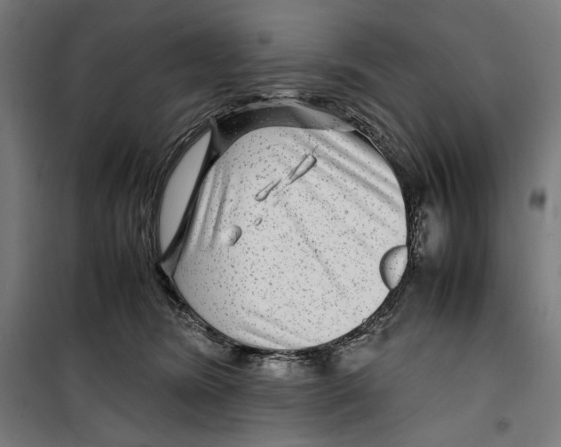 X0000099490420200806121356