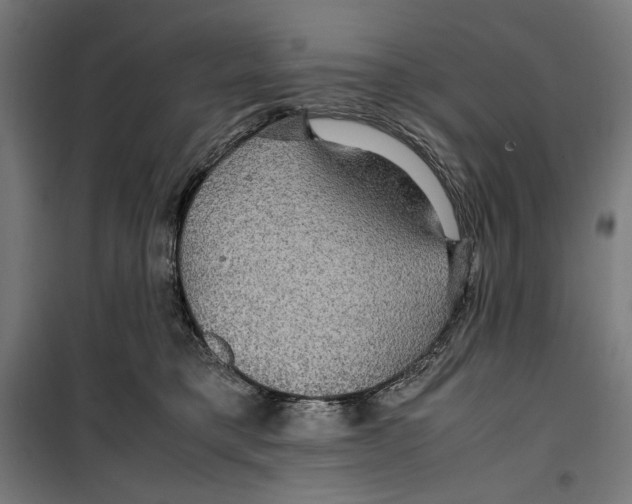 X0000099490421200806121356