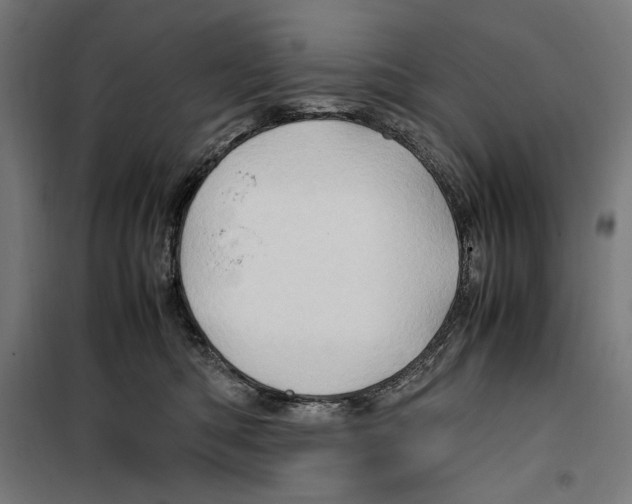 X0000099490422200806121356