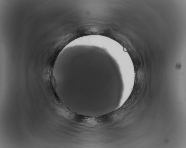 X0000099490423200806121356