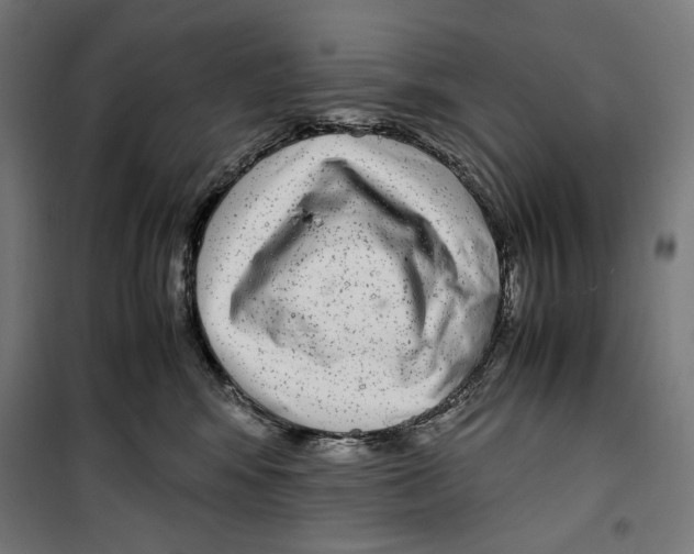 X0000099490424200806121356