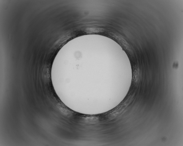 X0000099490426200806121356