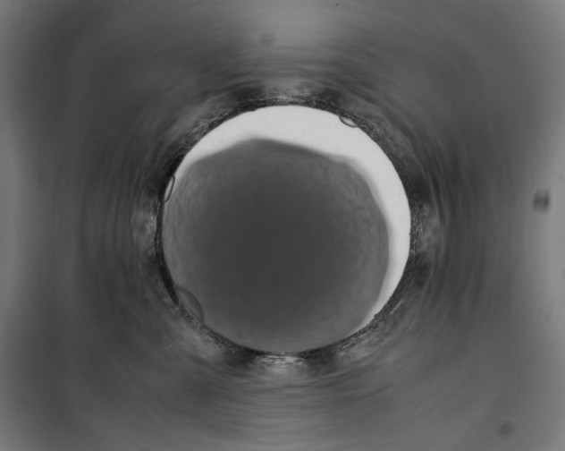 X0000099490427200806121356