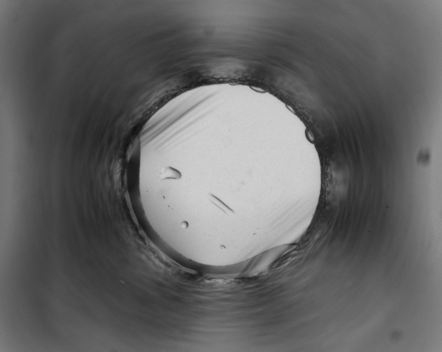 X0000099490428200806121356