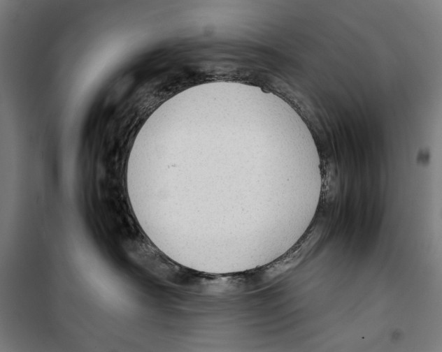 X0000099490430200806121356