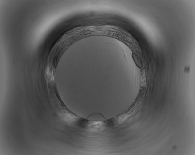 X0000099490431200806121356