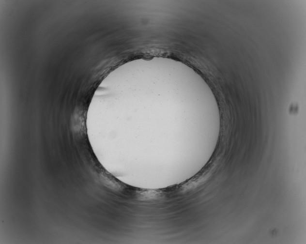 X0000099490432200806121356