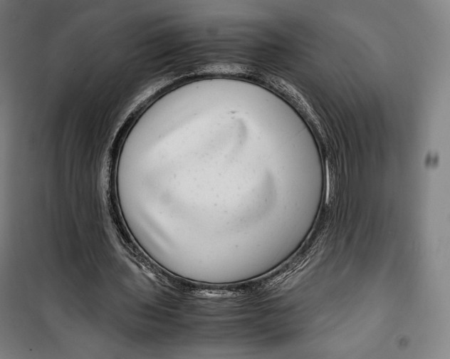 X0000099490435200806121356