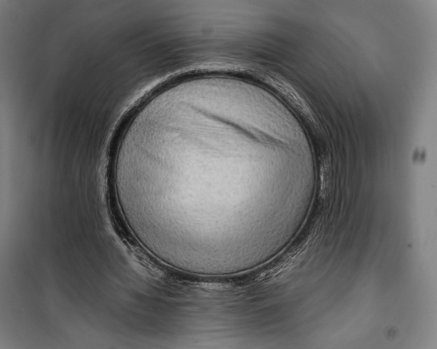 X0000099490436200806121356