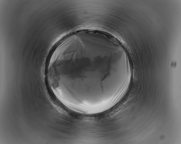 X0000099490438200806121356