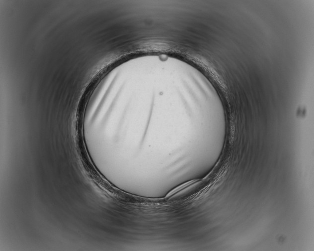 X0000099490439200806121356