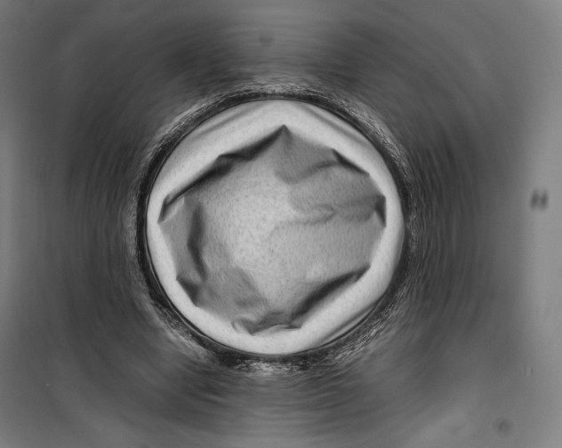 X0000099490442200806121356