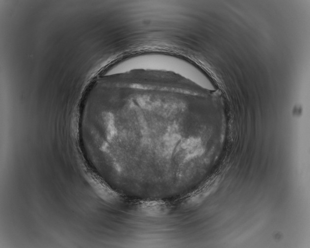 X0000099490446200806121356