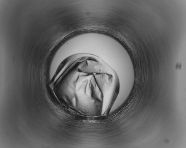 X0000099490448200806121356