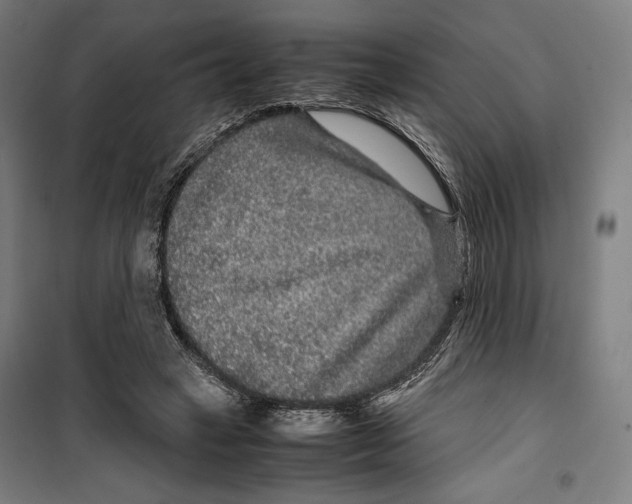 X0000099490449200806121356