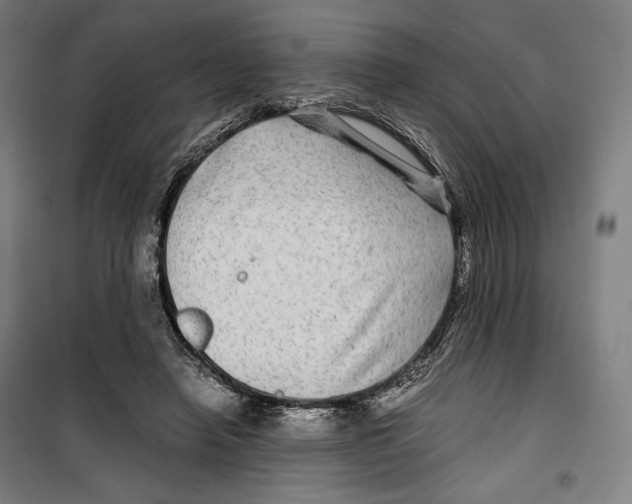 X0000099490450200806121356