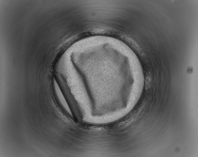 X0000099490454200806121356