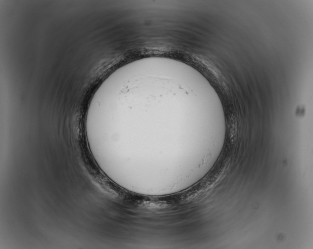 X0000099490455200806121356