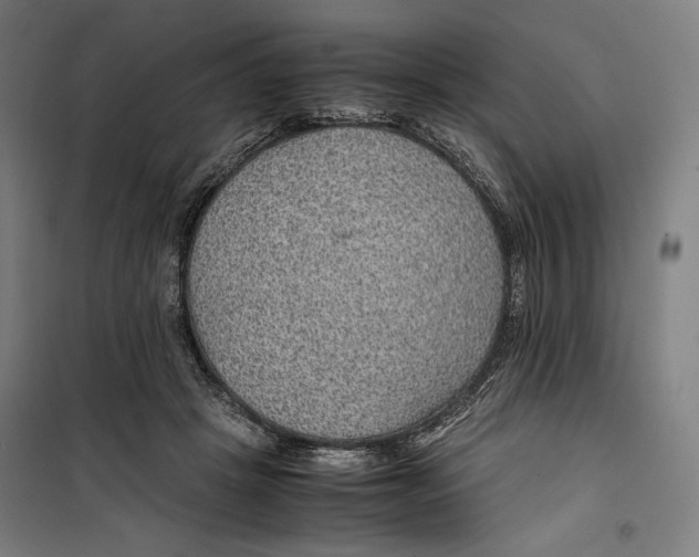 X0000099490457200806121356