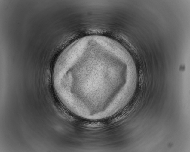 X0000099490459200806121356