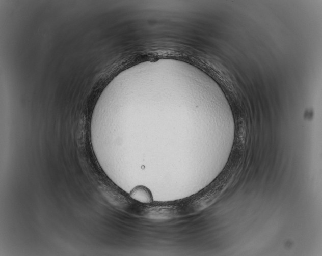 X0000099490461200806121356