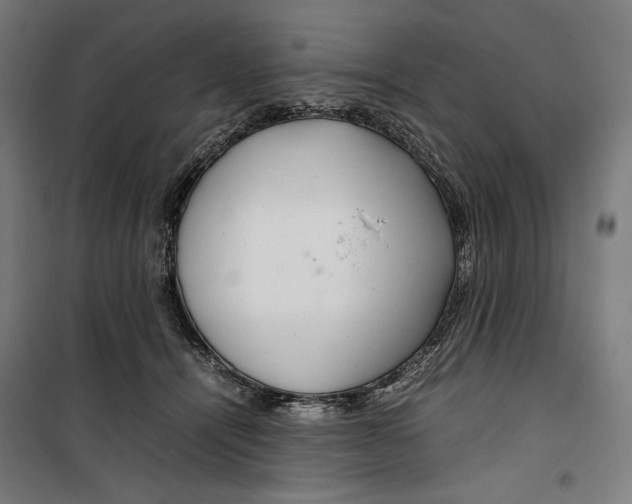 X0000099490464200806121356