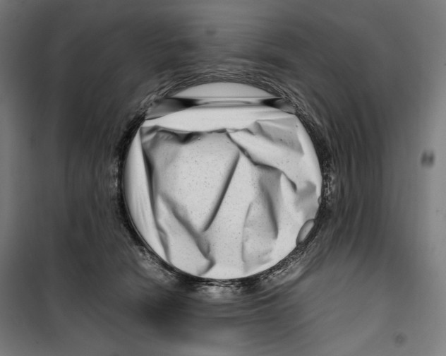 X0000099490466200806121356