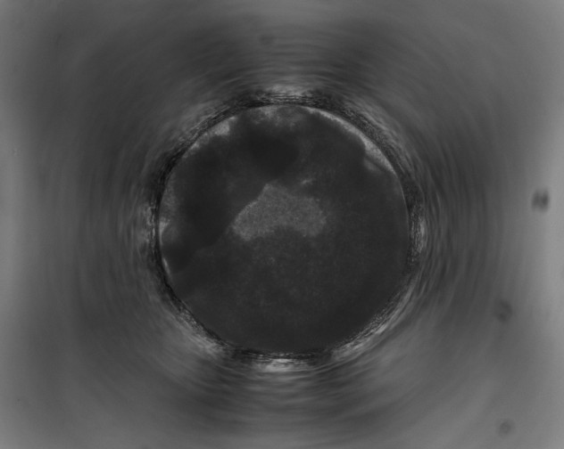 X0000099490467200806121356