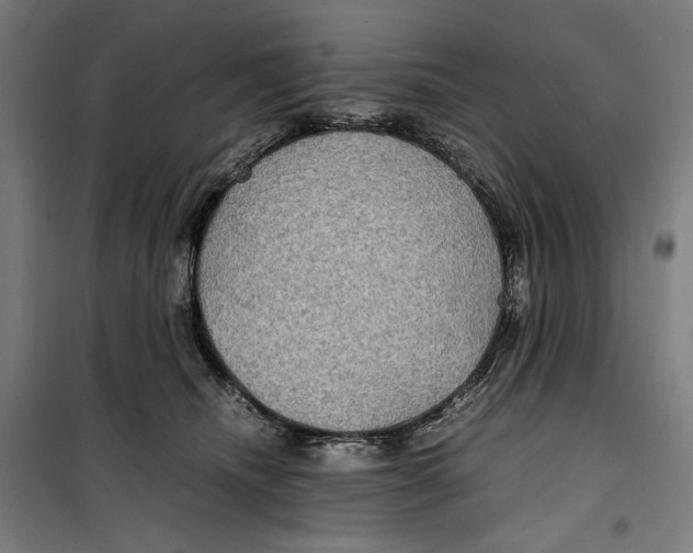 X0000099490468200806121356