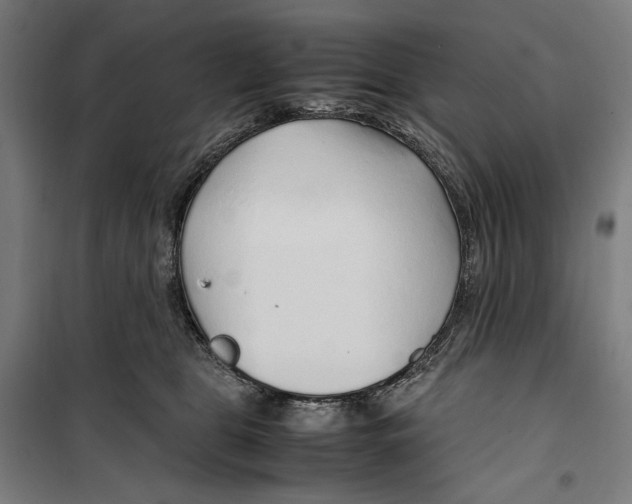 X0000099490469200806121356