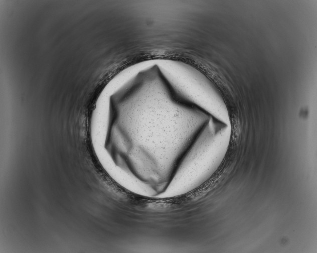 X0000099490470200806121356