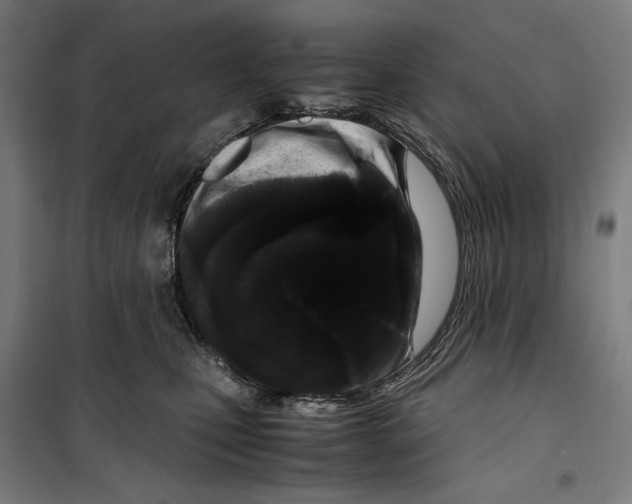 X0000099490471200806121356