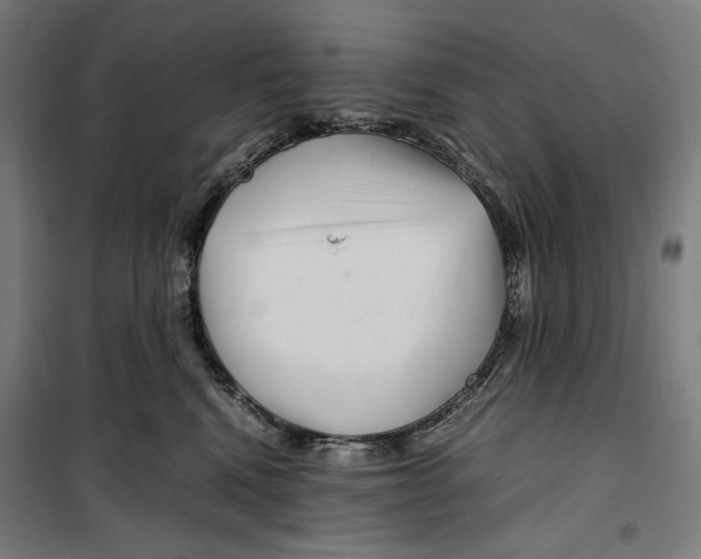 X0000099490472200806121356