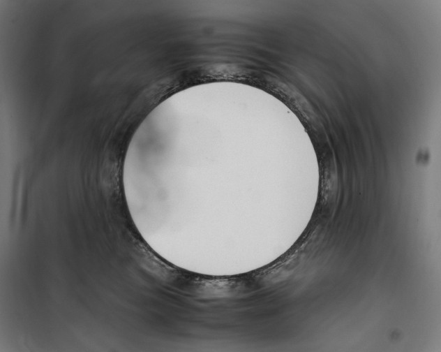 X0000099490473200806121356