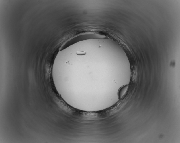 X0000099490476200806121356