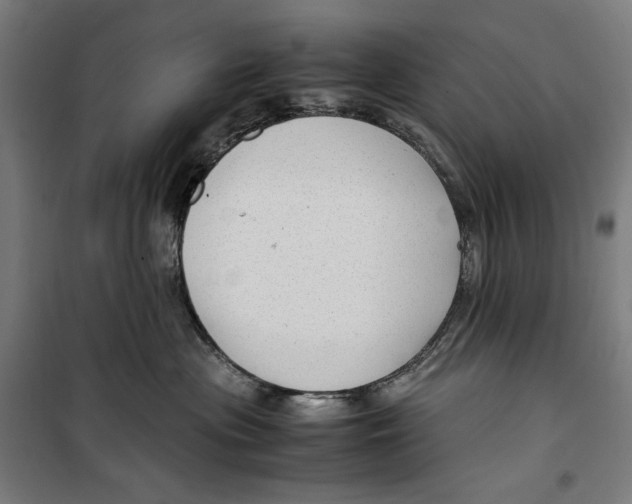 X0000099490477200806121356