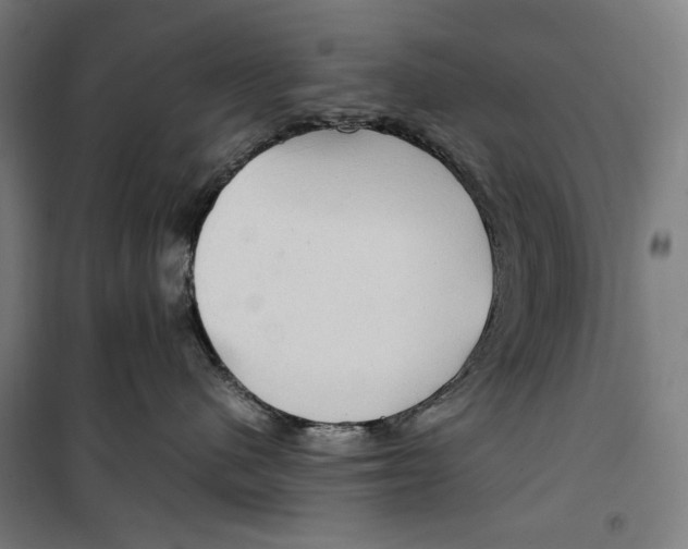 X0000099490480200806121356